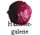 Hamster- 
 galerie